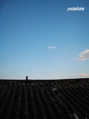 照片 153