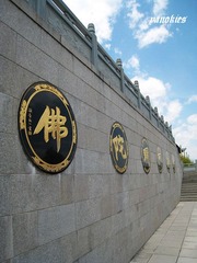 照片 042