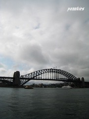 picture 101.jpg