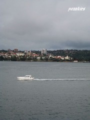 picture 090.jpg