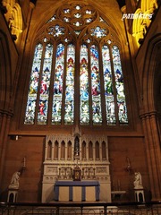picture 040.jpg