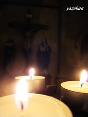 picture 037.jpg