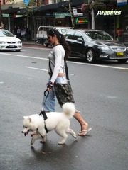 picture 009.jpg