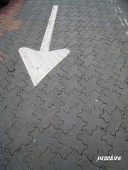 0.6698640338305155.jpg