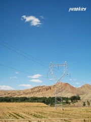 img_1028.jpg