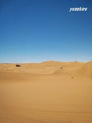 img_1009.jpg