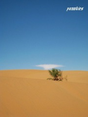 img_0998.jpg