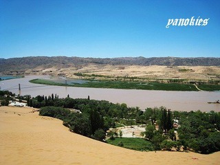 img_0990.jpg