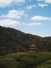 img_0949.jpg