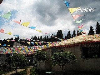 img_0934.jpg