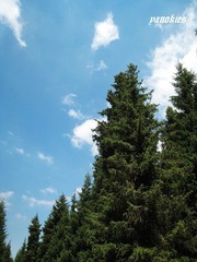 img_0930.jpg