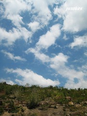 img_0929.jpg
