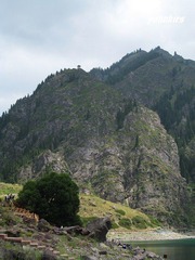 img_0925.jpg