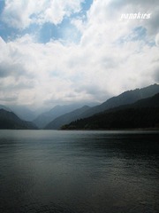 img_0921.jpg