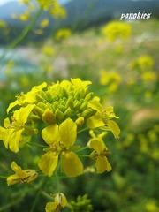img_0900.jpg