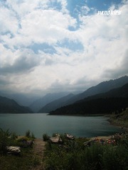 img_0896.jpg