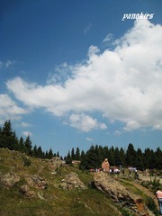 img_0894.jpg