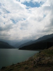 img_0892.jpg