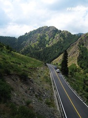 img_0882.jpg