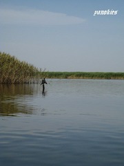 img_0856.jpg