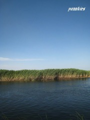 img_0848.jpg