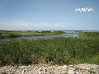 img_0840.jpg