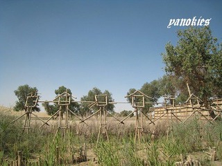 img_0833.jpg