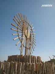 img_0831.jpg