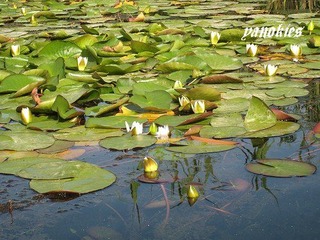 #mg_0863.jpg