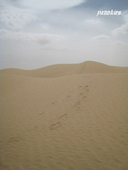 img_0819.jpg