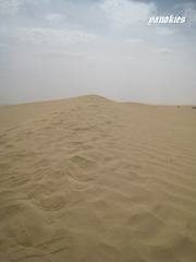 img_0816.jpg