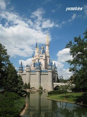 img_0736.jpg