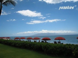 img_0649.jpg