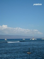 img_0624.jpg