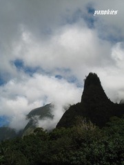 img_0603.jpg