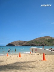 img_0552.jpg