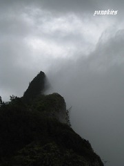 img_0527.jpg
