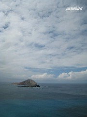 img_0522.jpg