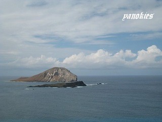 img_0516.jpg