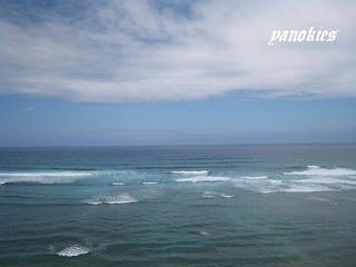 img_0496.jpg