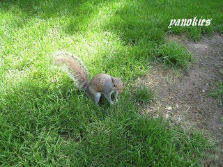 img_0455.jpg