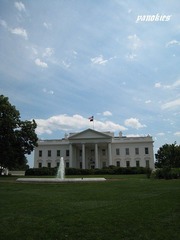 img_0442.jpg