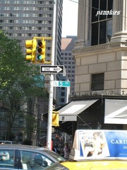 img_0361.jpg