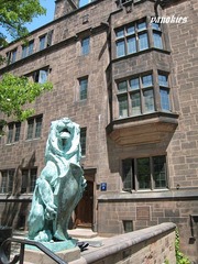 img_0257.jpg