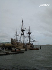 img_0236.jpg