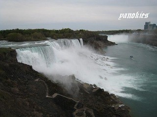 img_0195.jpg