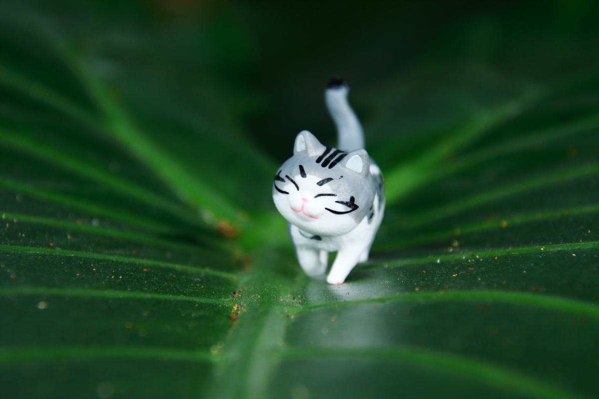 玩偶系列猫猫的绿色出行