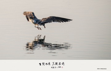 31905