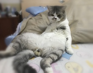 924714