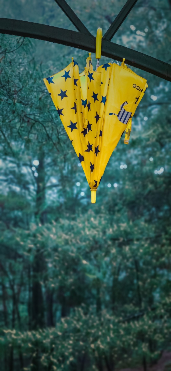 夏雨天一把小黄伞